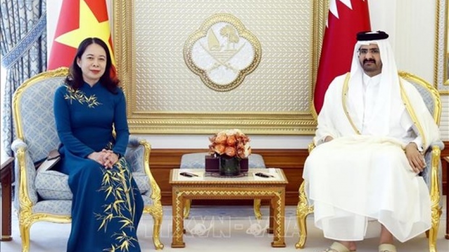 Vice President holds talks with Deputy Amir of State of Qatar